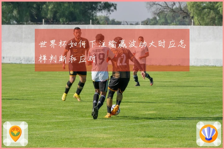世界杯如何下注输赢波动大时应怎样判断和应对
